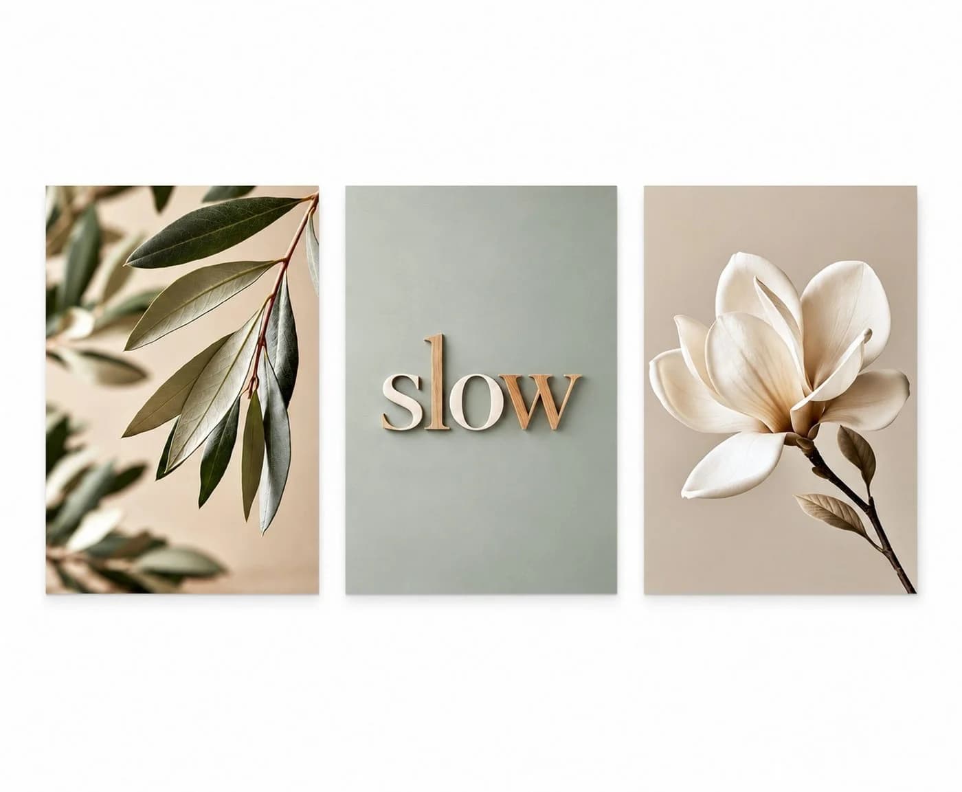 artissimo 3er-Bilderset Wanddeko Japandi Blumen Magnolie Beige Grün - Bild 5