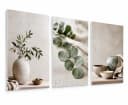 artissimo 3er-Bilderset Japandi Wanddeko Eukalyptus Beige Grau Grün Bild 2