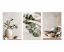 artissimo 3er-Bilderset Japandi Wanddeko Eukalyptus Beige Grau Grün Bild 5