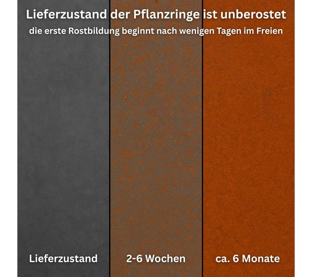 Czaja Pflanzring Ø 60 cm Edelrost Stahl - Bild 3