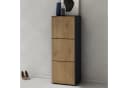 doporro Schuhschrank Schuhregal Schuhkipper mit 3 Fächern Bild 1