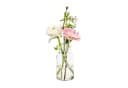 Annastore Glasvase EMMA Apothekerflasche Set 12-teilig Bild 1