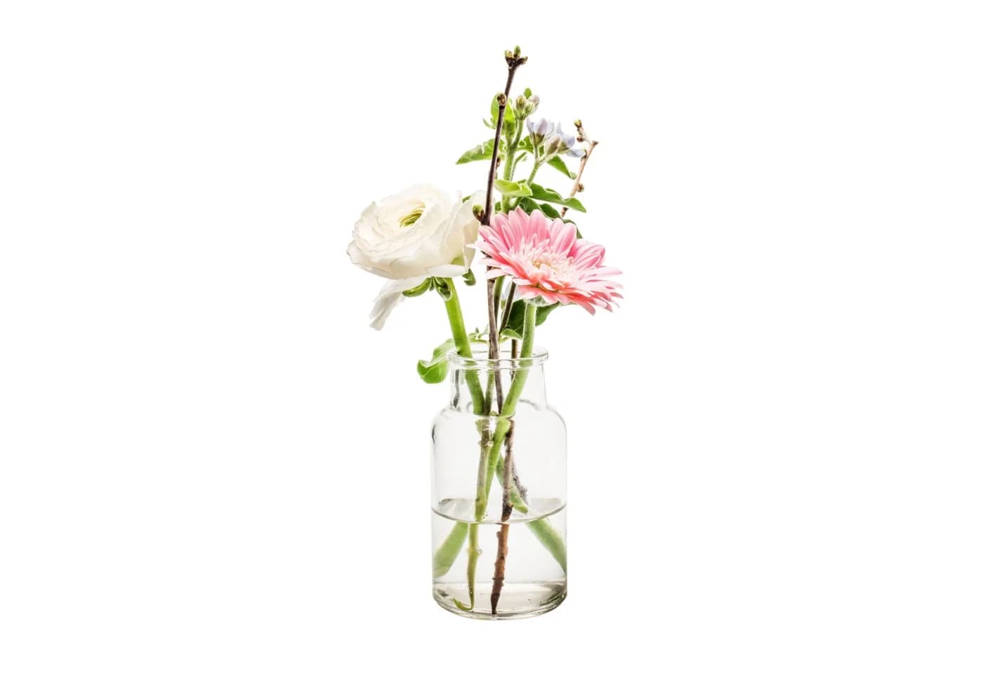 Annastore Glasvase EMMA Apothekerflasche Set 12-teilig
