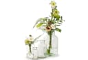 Annastore Glasvase Apothekerflasche EMMA Set 12 St. Dekovase Bild 3