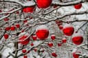 Annastore XXL Weihnachtskugel Rot Frostsicher Outdoor Bild 1