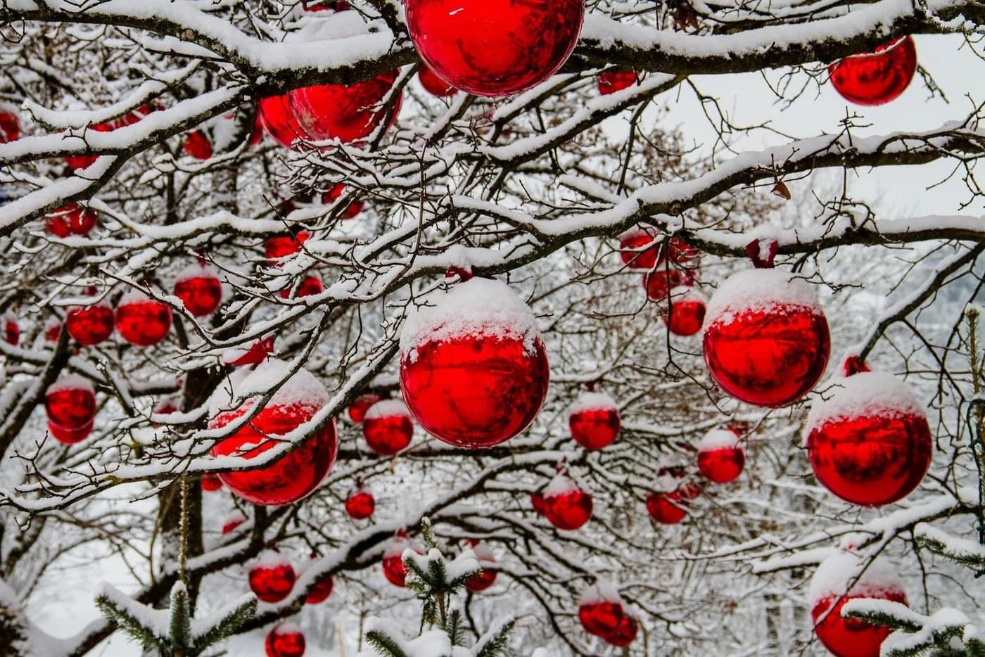 Annastore XXL Weihnachtskugel Rot Frostsicher Outdoor