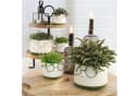 Annastore Übertopf Blumenübertöpfe in witzigem Design Bild 1