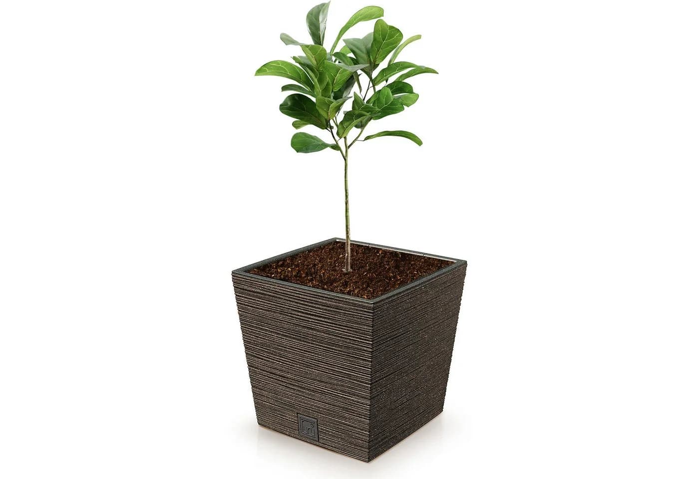 Annastore Pflanzkübel Blumentopf Wetterfest Inkl. Innentopf Braun - Bild 3