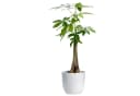 Annastore Keramik Übertopf Blumenübertopf Blumentopf Pflanztopf Bild 4