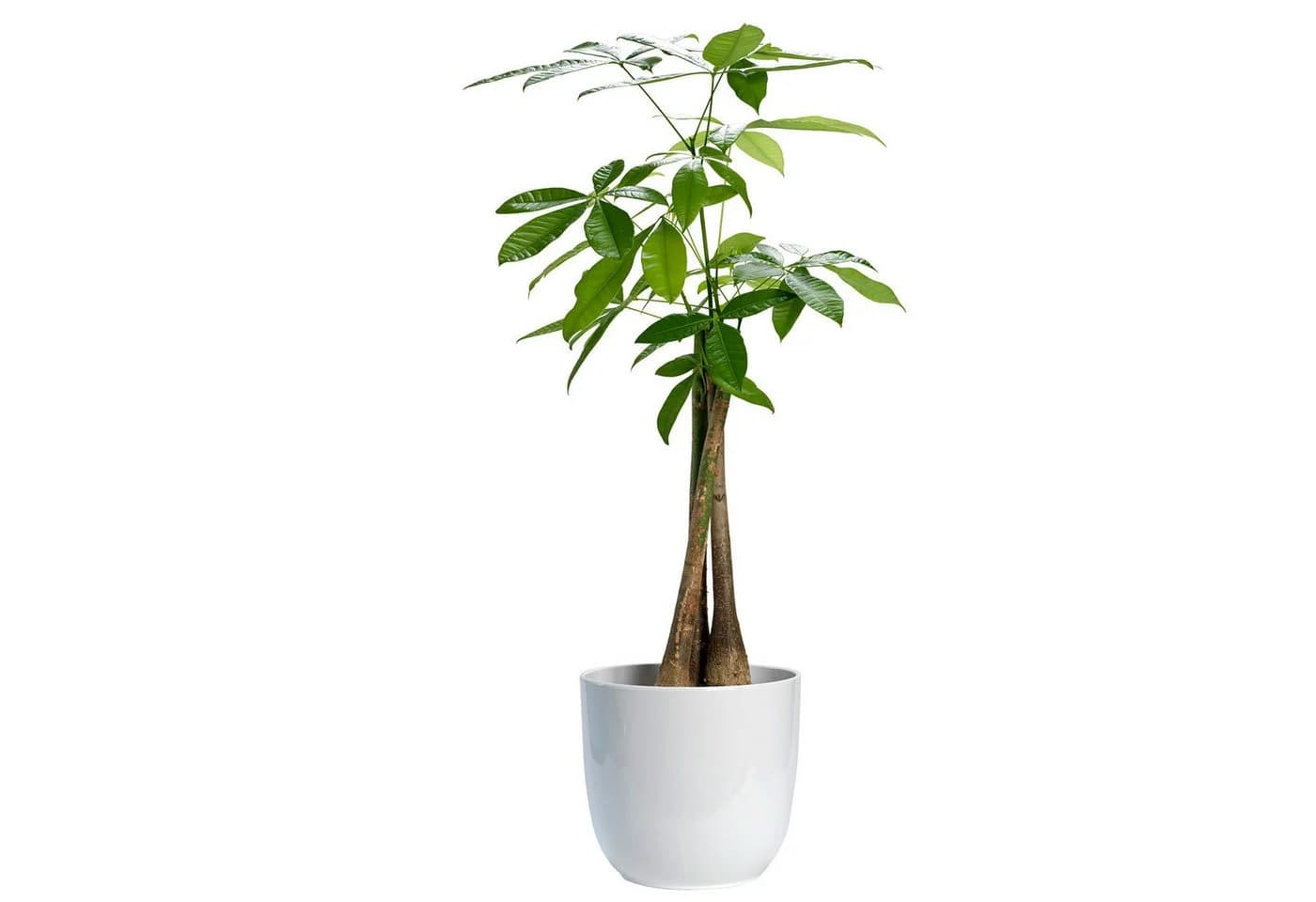 Annastore Keramik Übertopf Blumenübertopf Blumentopf Pflanztopf - Bild 4