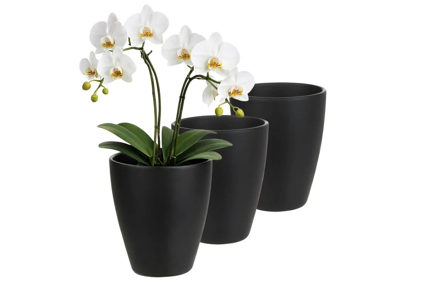 Annastore Übertopf 3 x Orchideentopf Keramik Grau - Bild 2