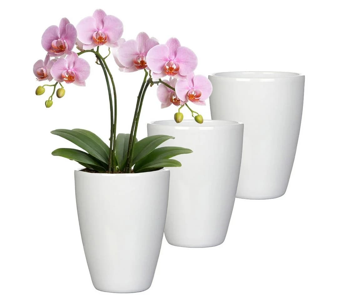 Annastore Übertopf 3er-Set Orchidee Keramik Weiß-Glanz - Bild 2