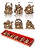 Yudu Buddhafigur 6 stück Verschiedene Buddha Figuren Glücksbringer Happy Buddha Bild 1