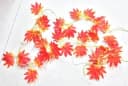 Luna24 LED-Lichterkette Herbstlaub 20-flammig warmweiß Bild 1