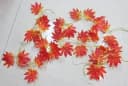 Luna24 LED-Lichterkette Herbstlaub 20-flammig warmweiß Bild 2