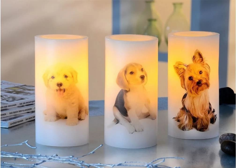 Luna24 LED-Kerze 2er-Set Beagle-Welpe Motiv Paraffin