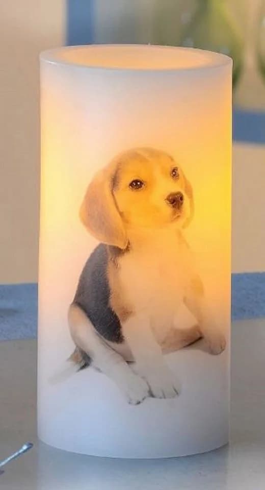 Luna24 LED-Kerze 2er-Set Beagle-Welpe Motiv Paraffin - Bild 2