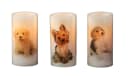 Luna24 LED-Kerze 2er-Set Beagle-Welpe Motiv Paraffin Bild 3