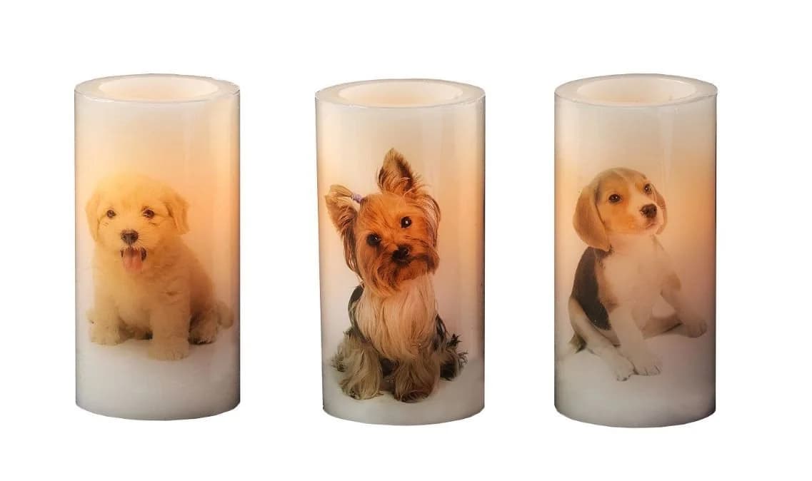 Luna24 LED-Kerze 2er-Set Beagle-Welpe Motiv Paraffin - Bild 3