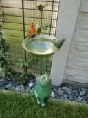 Luna24 Vogeltränke Katze & Vogel 50 cm Antike Vogeltränke Bild 1