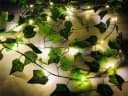 Luna24 LED-Lichterkette Efeu 200 cm 20 LEDs warm-weiß mit Timer Bild 3