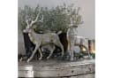 Mirabeau Weihnachtsfigur Hirsche 2er Set Silber Bild 1