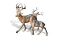 Mirabeau Weihnachtsfigur Hirsche 2er Set Silber Bild 2