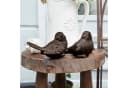 Mirabeau Dekofigur Deko-Vogel 2er Set Birdy Braun Bild 1