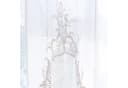 Mirabeau Vorhang Gardine Leia Creme Leinen Ornament-Stickerei Bild 5