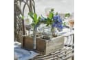 Mirabeau Übertopf Vase 4er Set Reverie Braun/Klar mit Holzkorb Bild 1
