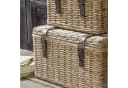 Mirabeau Truhe 2er Set Darill Braun Rattan Mahagoni Bild 5
