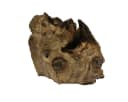 Oriental Galerie Dekofigur Wurzelholz Glas 18 cm Bild 5