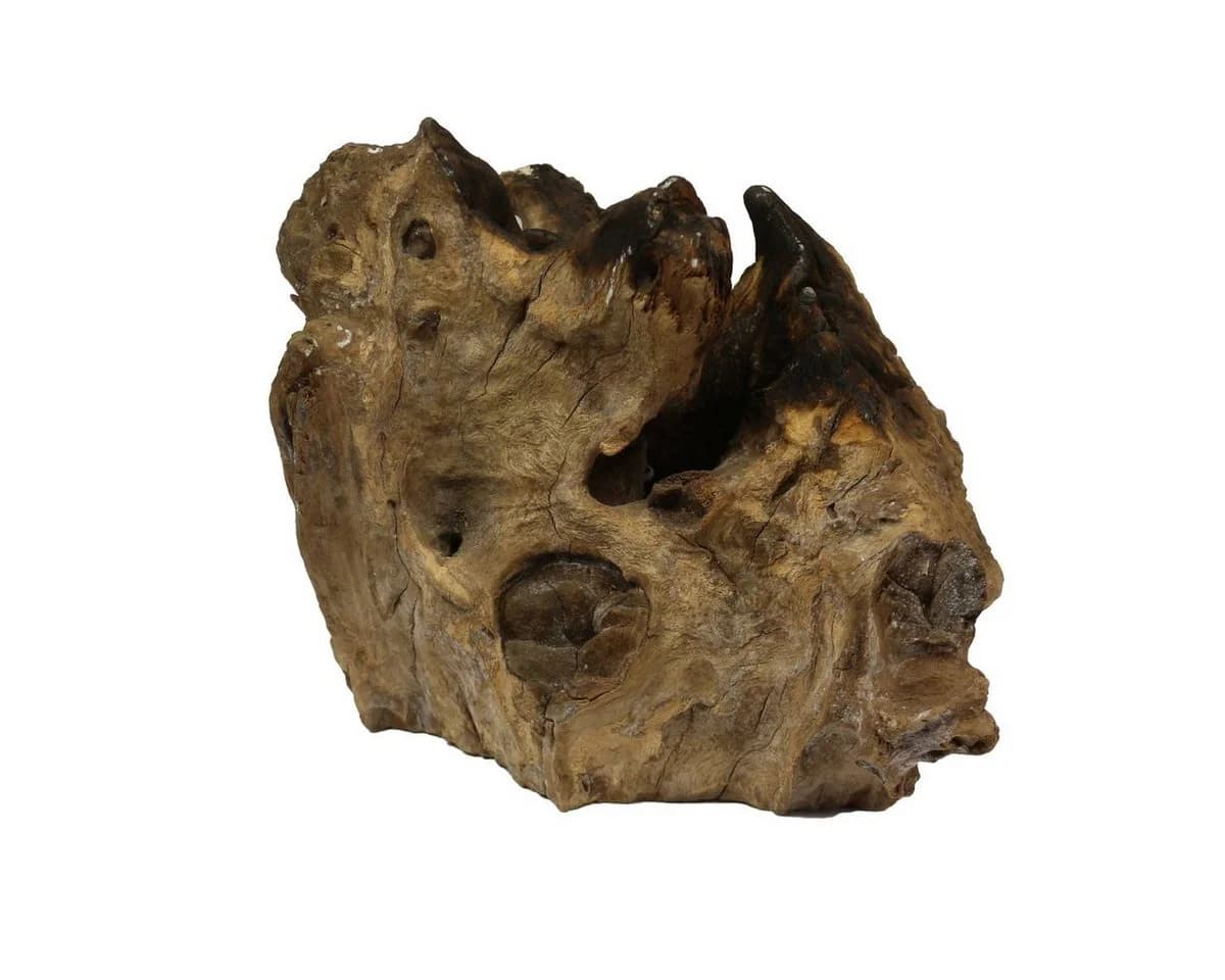 Oriental Galerie Dekofigur Wurzelholz Glas 18 cm - Bild 5