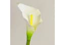 artplants Kunstblume Calla Weiß 70cm Bild 1