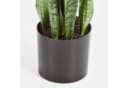 artplants Sansevieria Kunstpflanze Grün Getopft 80cm Bild 3