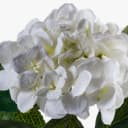 artplants Kunstblume Hortensie Creme 50cm Bild 4