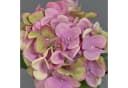 artplants Kunstblume Hortensie Rosa 50cm Bild 1