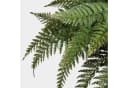 artplants Künstliche Zimmerpflanze Königsfarn Aaron Grün Bild 1