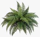 artplants Künstliche Zimmerpflanze Königsfarn Aaron Grün Bild 2