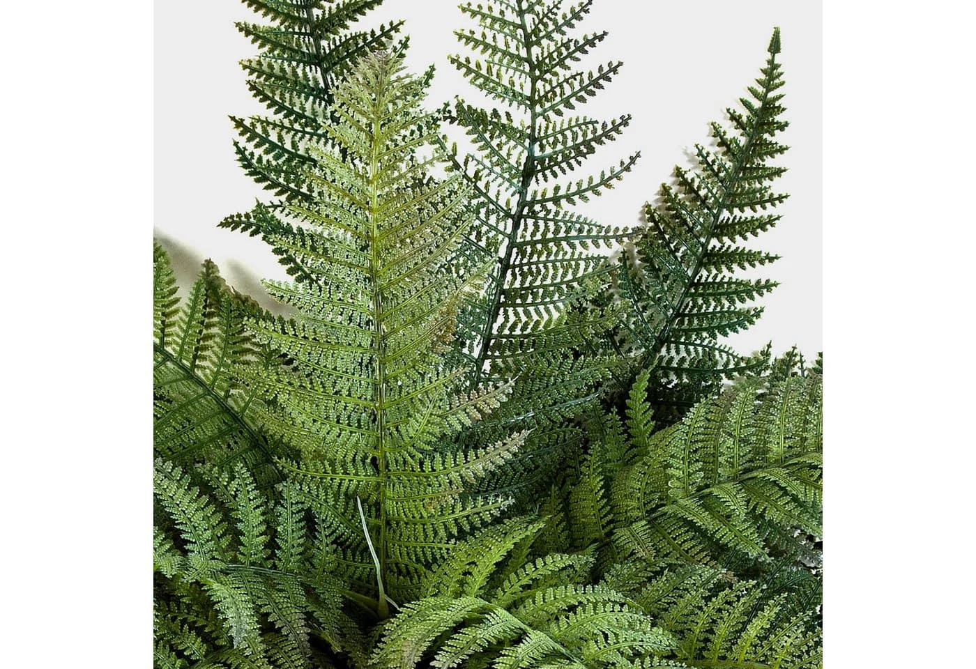 artplants Künstliche Zimmerpflanze Königsfarn Aaron Grün - Bild 3