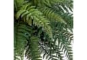 artplants Künstliche Zimmerpflanze Königsfarn Aaron Grün Bild 4
