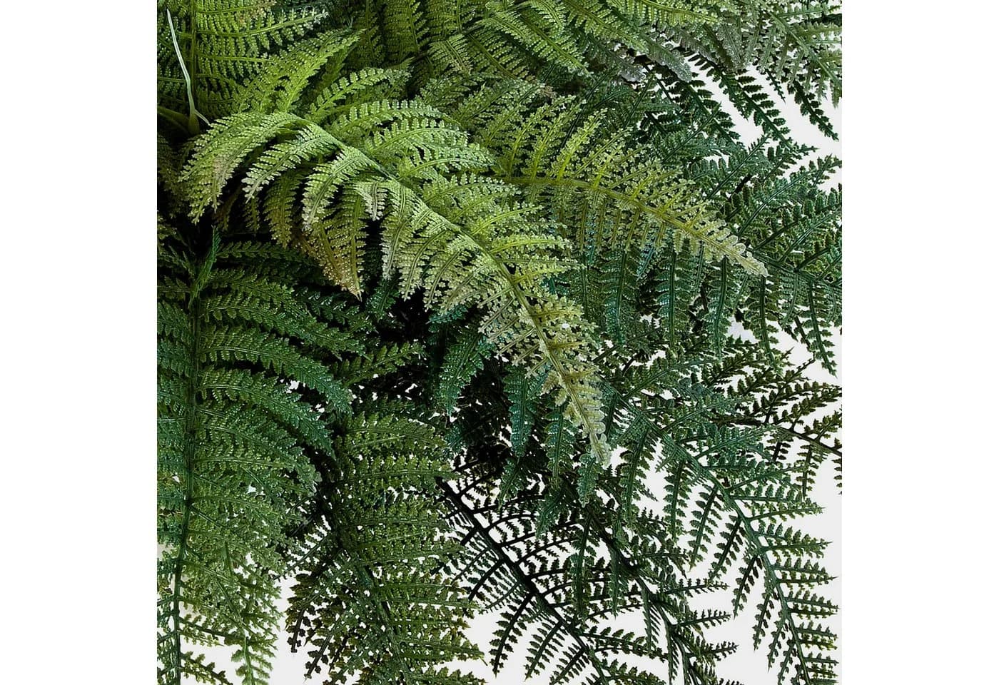 artplants Künstliche Zimmerpflanze Königsfarn Aaron Grün - Bild 4