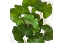 artplants Kunstzweig Ginkgo Sweet Zweig Grün 60cm Bild 1