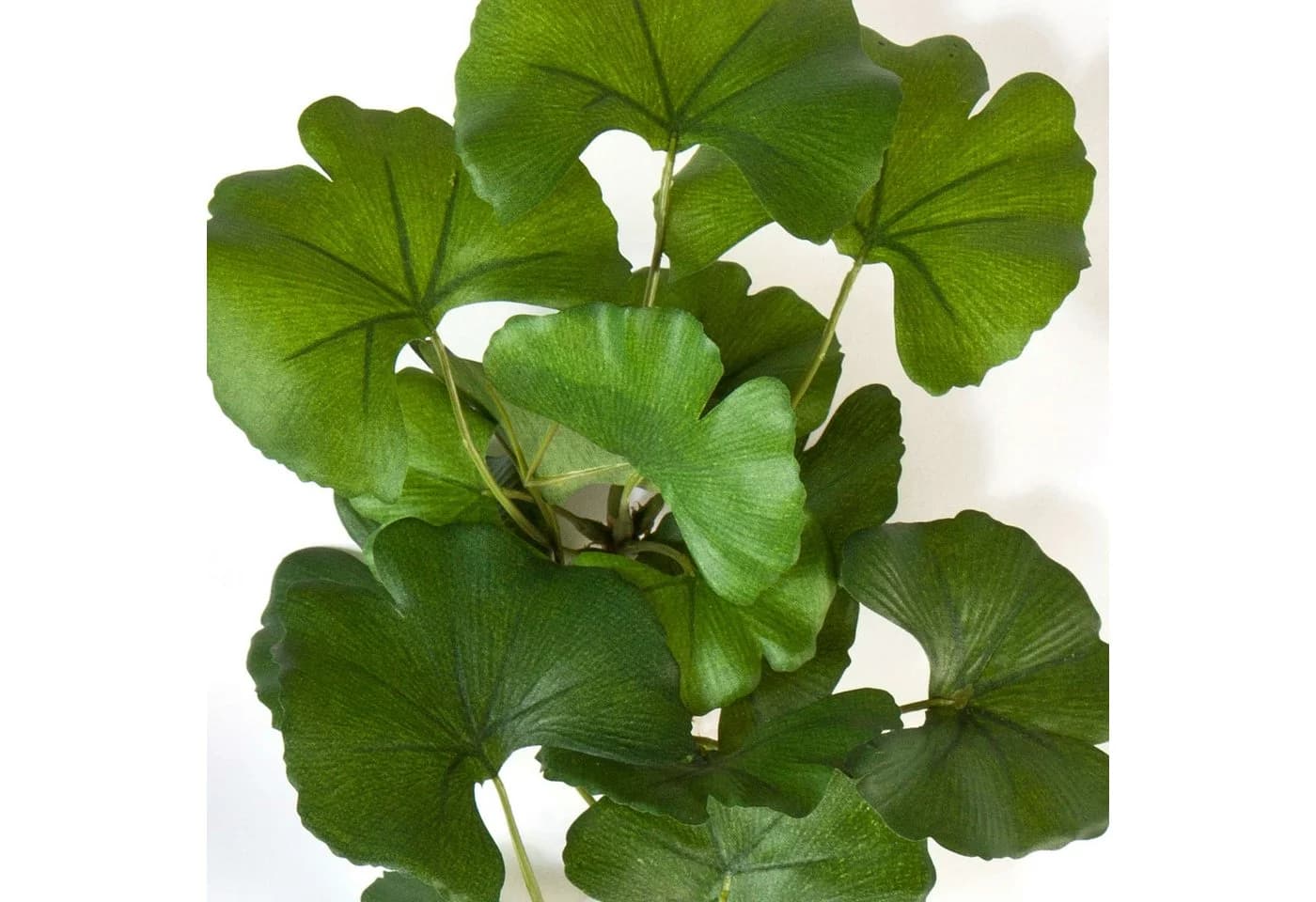 artplants Kunstzweig Ginkgo Sweet Zweig Grün 60cm