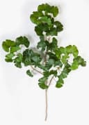 artplants Kunstzweig Ginkgo Sweet Zweig Grün 60cm Bild 2