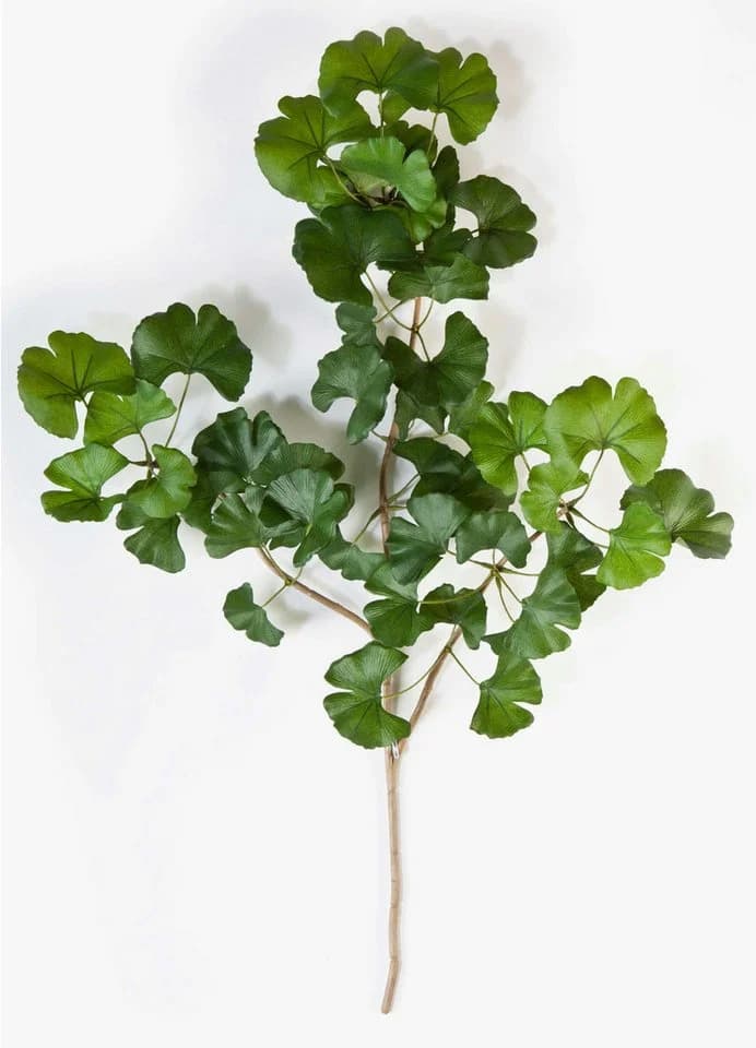 artplants Kunstzweig Ginkgo Sweet Zweig Grün 60cm - Bild 2