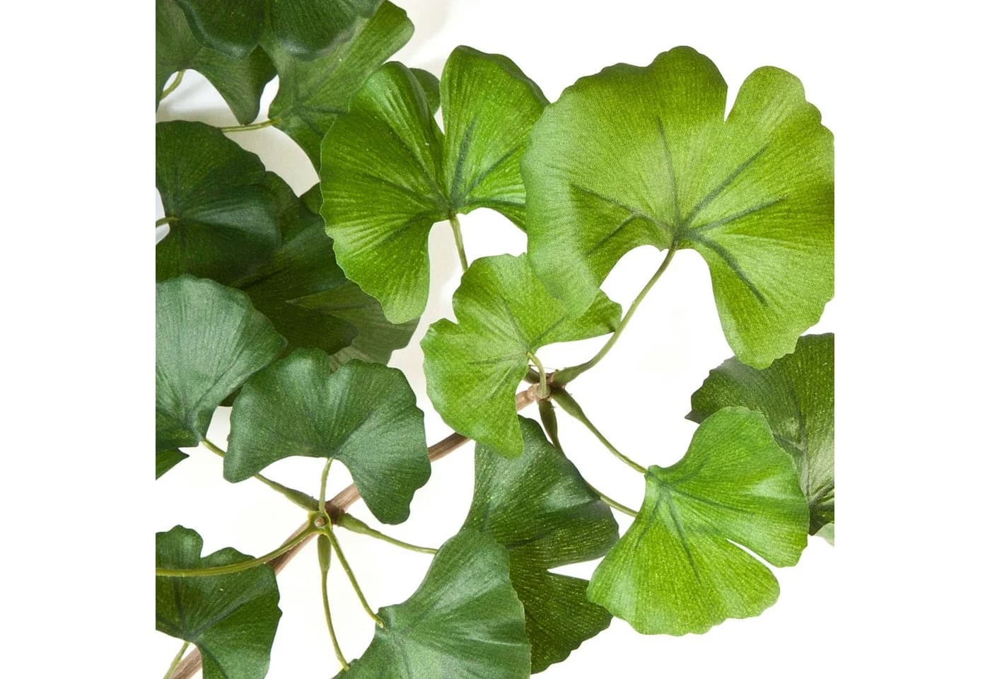 artplants Kunstzweig Ginkgo Sweet Zweig Grün 60cm - Bild 3