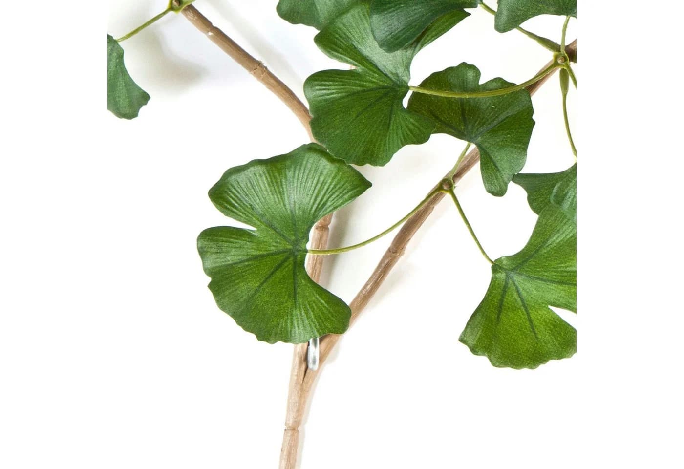 artplants Kunstzweig Ginkgo Sweet Zweig Grün 60cm - Bild 4