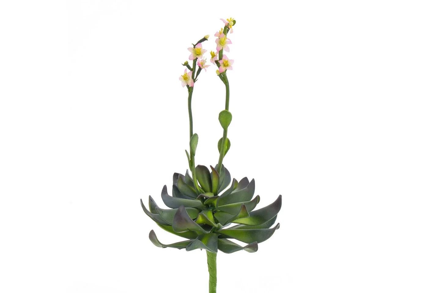 artplants Kunstpflanze Aeonium auf Steckstab rosa 30cm - Bild 2
