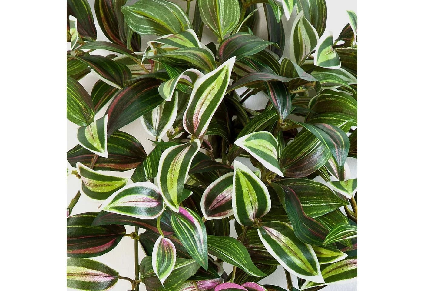 artplants Künstliche Zimmerpflanze Tradescantia Zebrina 70cm Grün-Lila